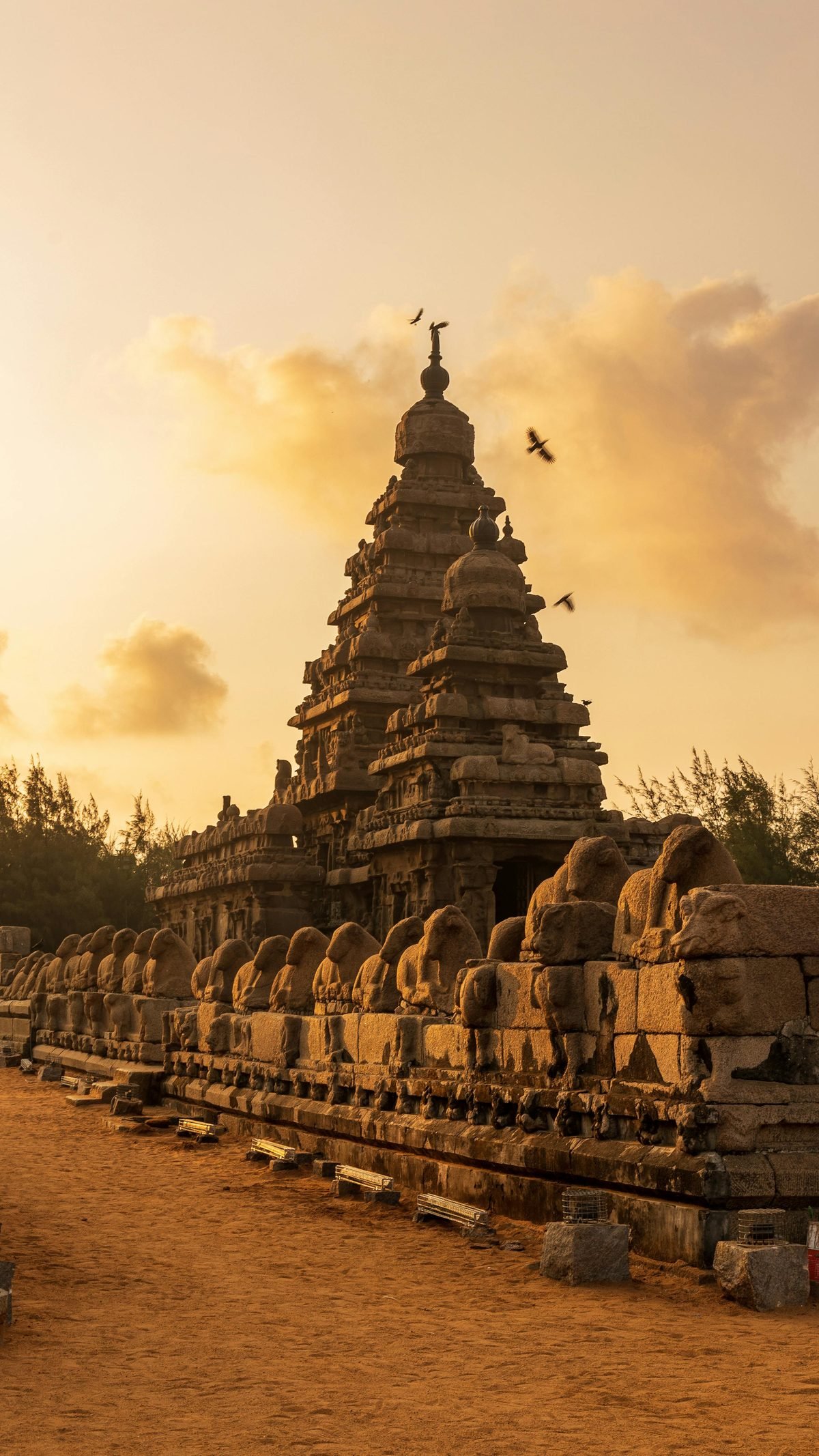 Thanjavur & Trichy