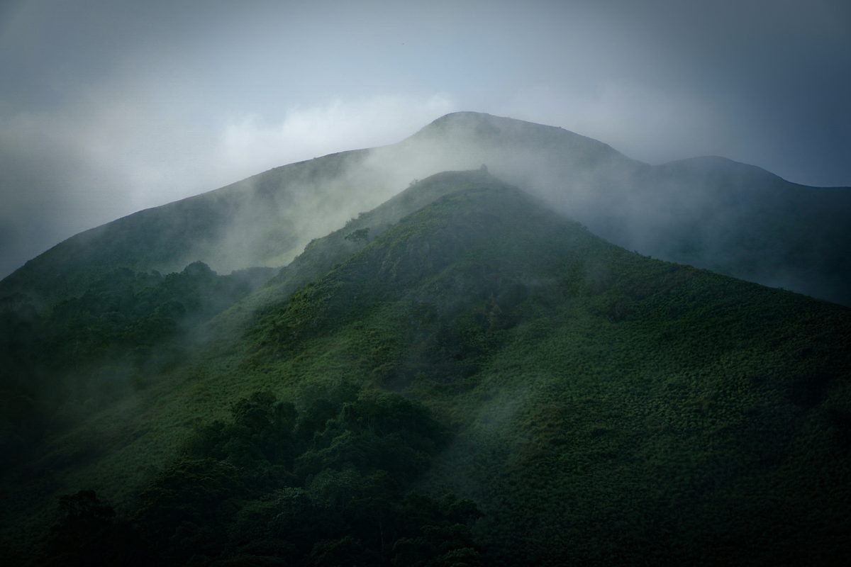 Thekkady — Periyar Wildlife Reserve