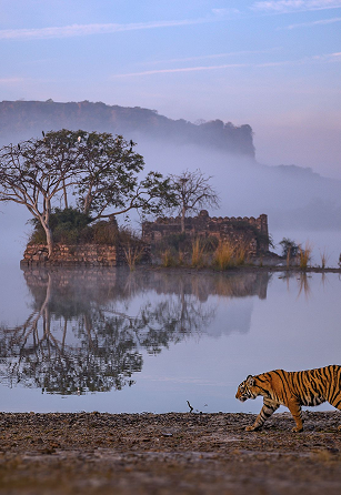 Ranthambore