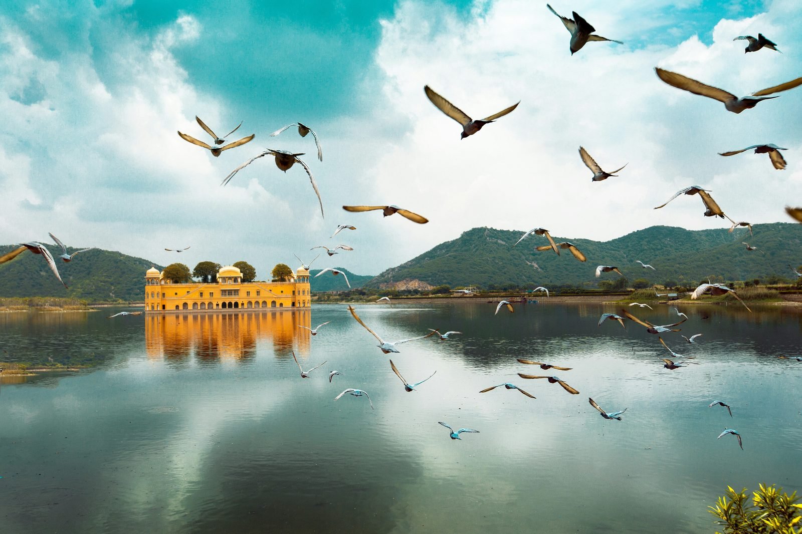 Voyage en Famille en Inde