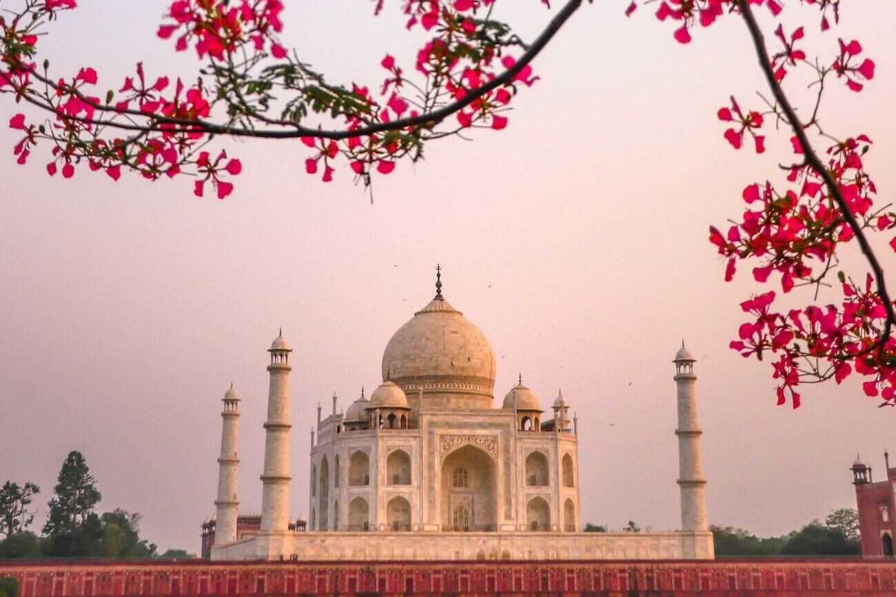 Group travel through India — friends exploring together